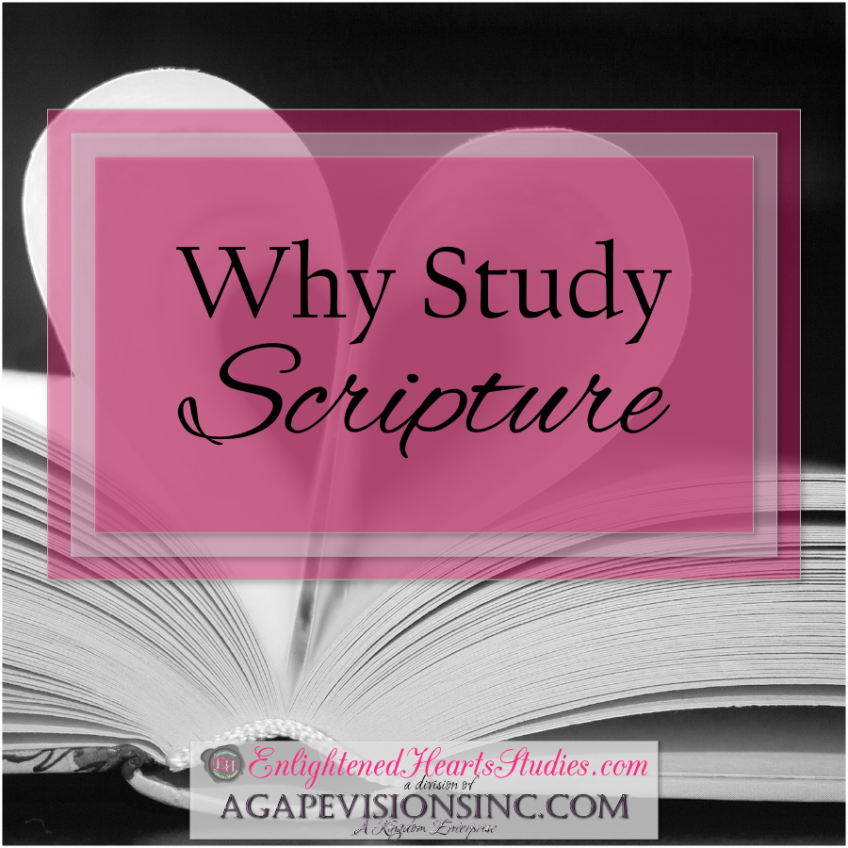 Why Study Scripture